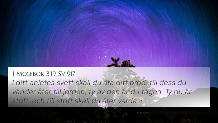 1 Mosebok 3:19 SV1917 Bible Verse Image