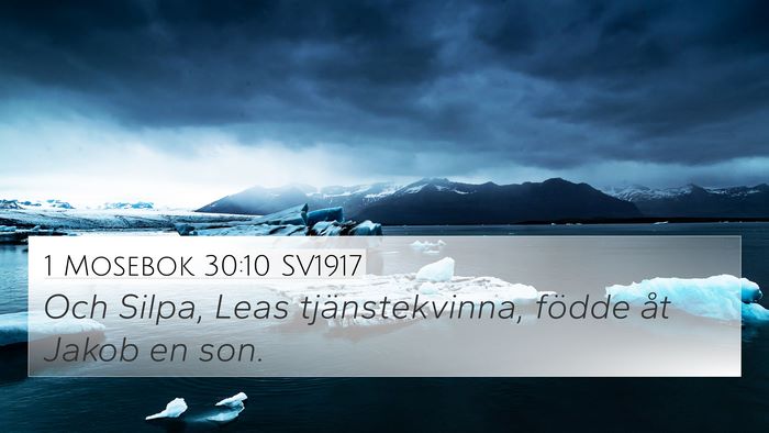 1 Mosebok 30:10 SV1917 Bible Verse Image