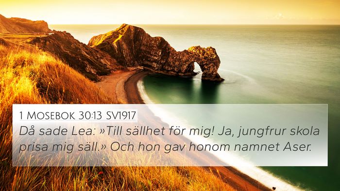 1 Mosebok 30:13 SV1917 Bible Verse Image