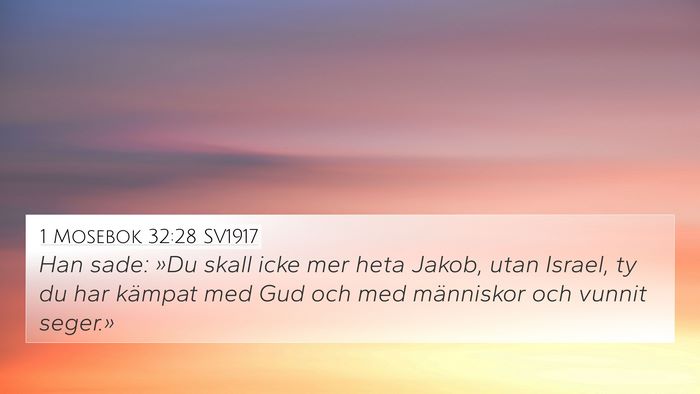 1 Mosebok 32:28 SV1917 Bible Verse Image