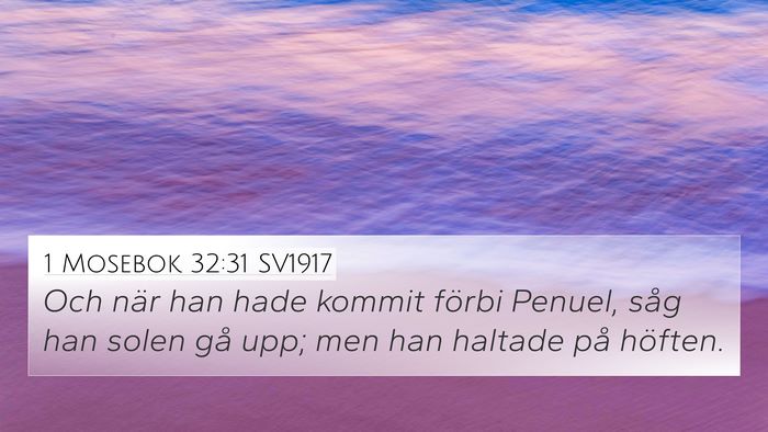 1 Mosebok 32:31 SV1917 Bible Verse Image