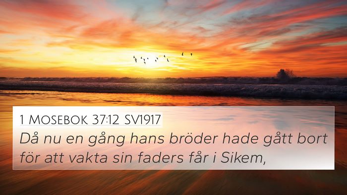 1 Mosebok 37:12 SV1917 Bible Verse Image