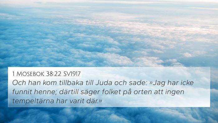 1 Mosebok 38:22 SV1917 4K Wallpaper - Och han kom tillbaka till Juda och sade: »Jag - 4K Wallpaper Bible Verse