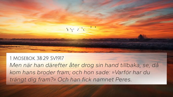 1 Mosebok 38:29 SV1917 Bible Verse Image