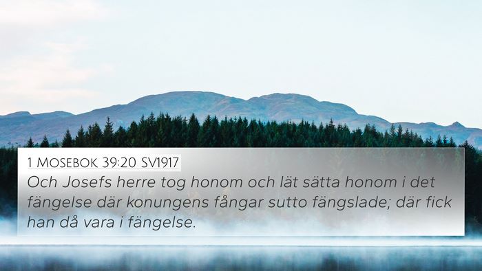 1 Mosebok 39:20 SV1917 Bible Verse Image