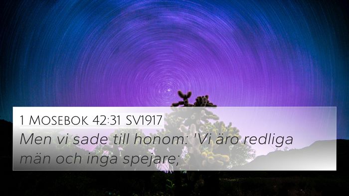 1 Mosebok 42:31 SV1917 Bible Verse Image
