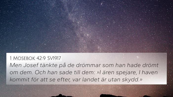1 Mosebok 42:9 SV1917 Bible Verse Image