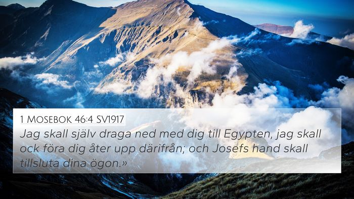 1 Mosebok 46:4 SV1917 Bible Verse Image