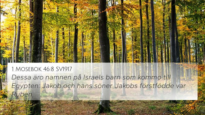 1 Mosebok 46:8 SV1917 Bible Verse Image