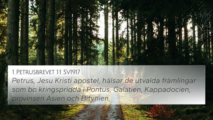 1 Petrusbrevet 1:1 SV1917 Bible Verse Image