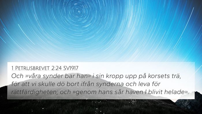 1 Petrusbrevet 2:24 SV1917 Bible Verse Image