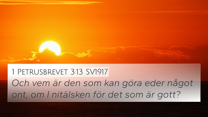 1 Petrusbrevet 3:13 SV1917 Bible Verse Image