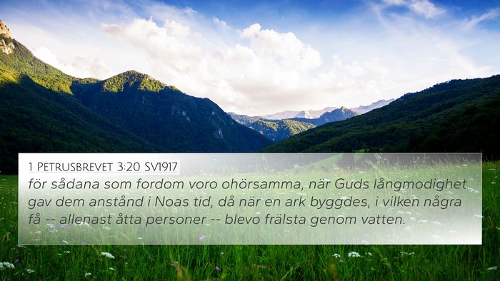 1 Petrusbrevet 3:20 SV1917 Bible Verse Image