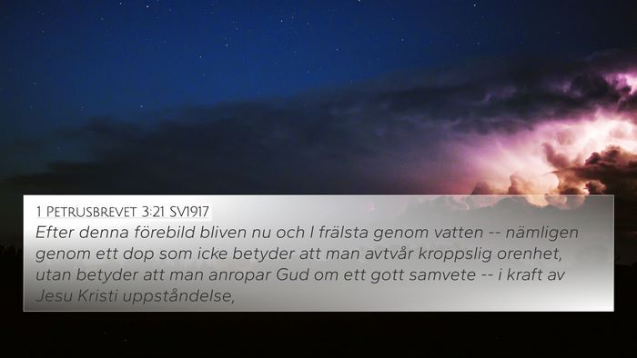 1 Petrusbrevet 3:21 SV1917 Bible Verse Image