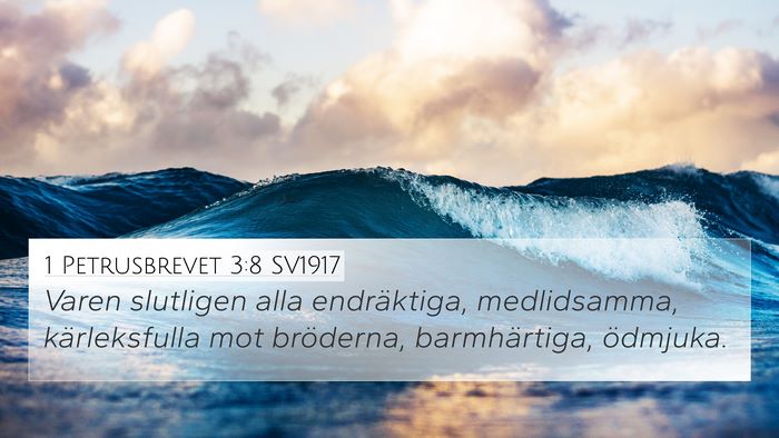 1 Petrusbrevet 3:8 SV1917 Bible Verse Image