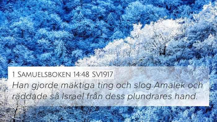 1 Samuelsboken 14:48 SV1917 Bible Verse Image