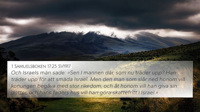 1 Samuelsboken 17:25 SV1917 Bible Verse Image