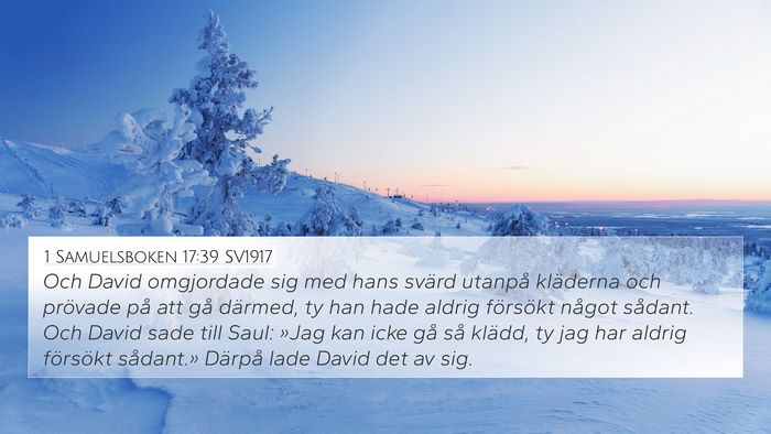 1 Samuelsboken 17:39 SV1917 4K Wallpaper - Och David omgjordade sig med hans svärd utanpå - 4K Wallpaper Bible Verse