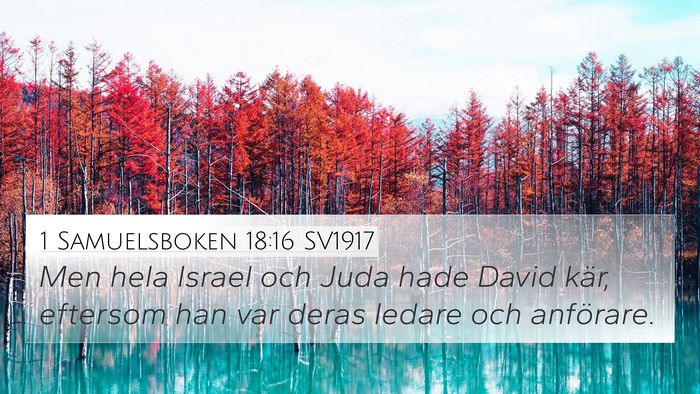 1 Samuelsboken 18:16 SV1917 Bible Verse Image