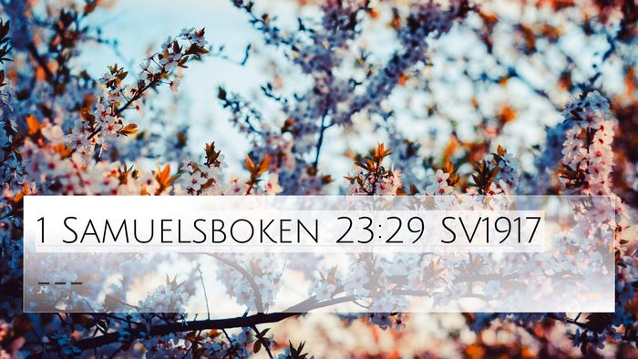 1 Samuelsboken 23:29 SV1917 Bible Verse Image