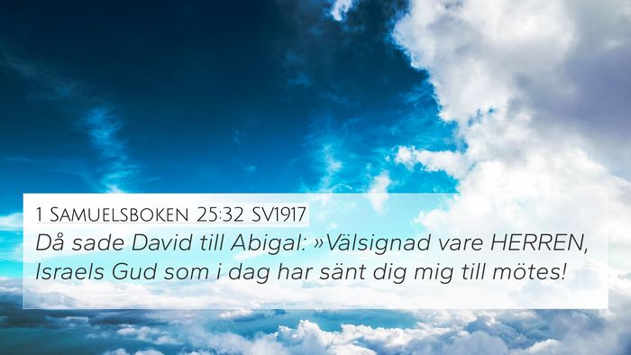 1 Samuelsboken 25:32 SV1917 Bible Verse Image