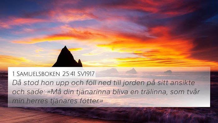 1 Samuelsboken 25:41 SV1917 Bible Verse Image