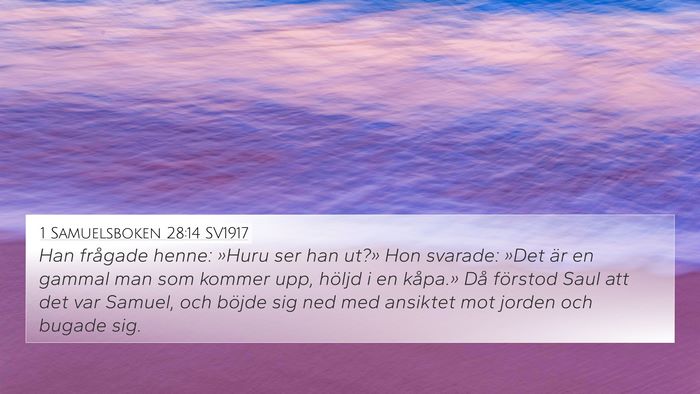1 Samuelsboken 28:14 SV1917 Bible Verse Image