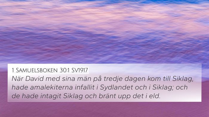 1 Samuelsboken 30:1 SV1917 Bible Verse Image