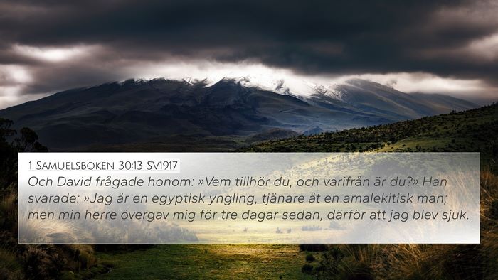 1 Samuelsboken 30:13 SV1917 Bible Verse Image