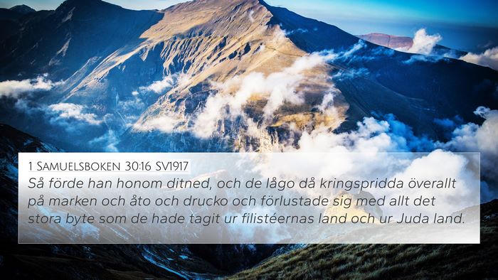 1 Samuelsboken 30:16 SV1917 Bible Verse Image
