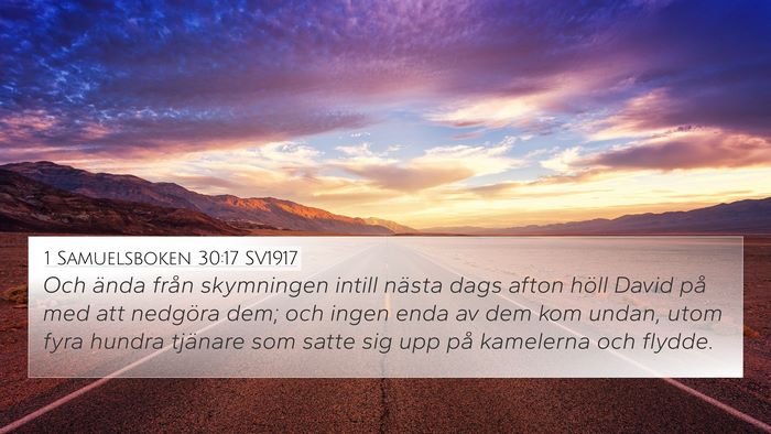 1 Samuelsboken 30:17 SV1917 Bible Verse Image