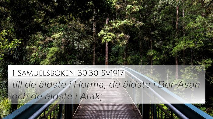 1 Samuelsboken 30:30 SV1917 4K Wallpaper - till de äldste i Horma, de äldste i Bor-Asan - 4K Wallpaper Bible Verse