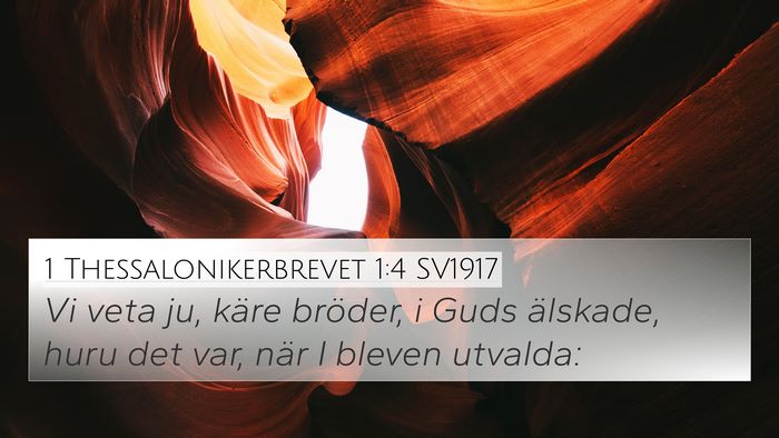 1 Thessalonikerbrevet 1:4 SV1917 4K Wallpaper - Vi veta ju, käre bröder, i Guds älskade, huru - 4K Wallpaper Bible Verse