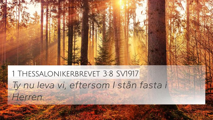 1 Thessalonikerbrevet 3:8 SV1917 Bible Verse Image
