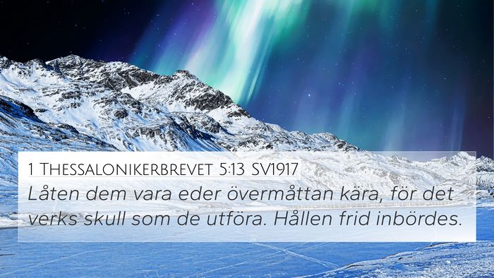 1 Thessalonikerbrevet 5:13 SV1917 Bible Verse Image