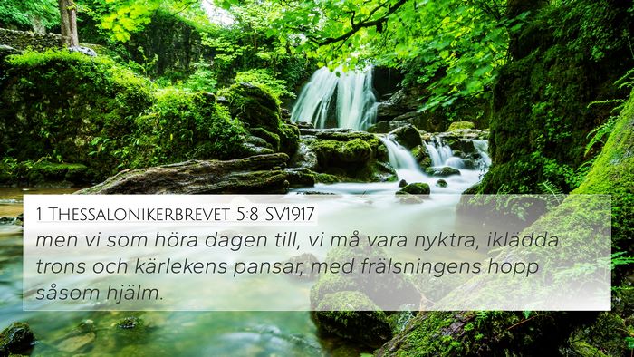 1 Thessalonikerbrevet 5:8 SV1917 Bible Verse Image