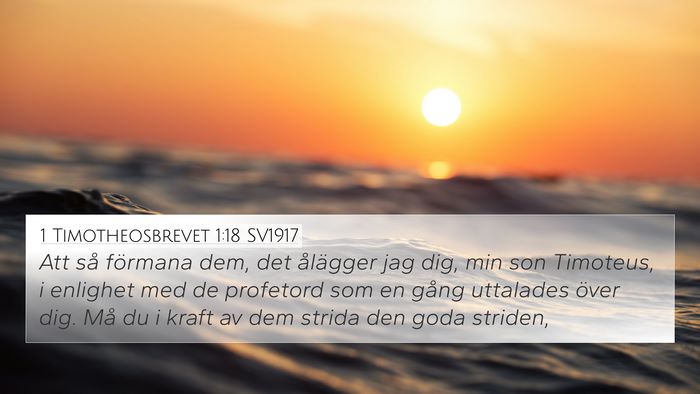 1 Timotheosbrevet 1:18 SV1917 Bible Verse Image