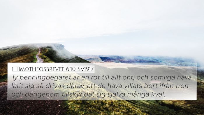 1 Timotheosbrevet 6:10 SV1917 Bible Verse Image