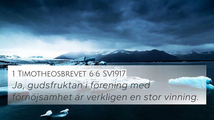 1 Timotheosbrevet 6:6 SV1917 Bible Verse Image