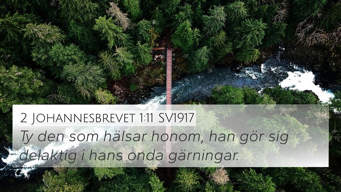 2 Johannesbrevet 1:11 SV1917 Bible Verse Image