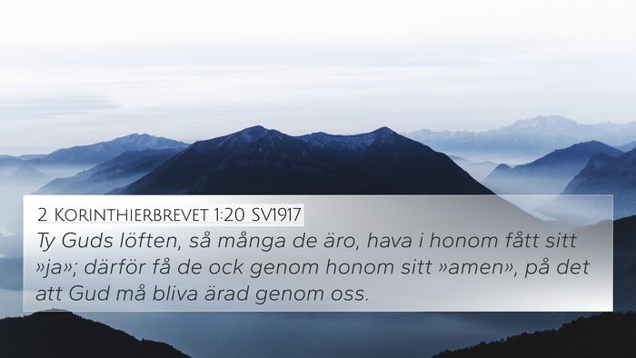 2 Korinthierbrevet 1:20 SV1917 Bible Verse Image