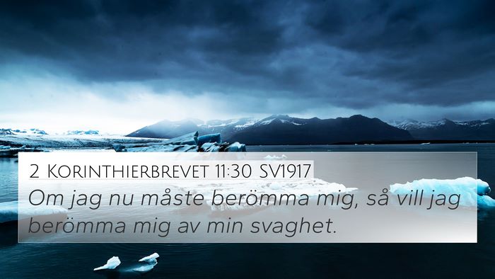 2 Korinthierbrevet 11:30 SV1917 Bible Verse Image