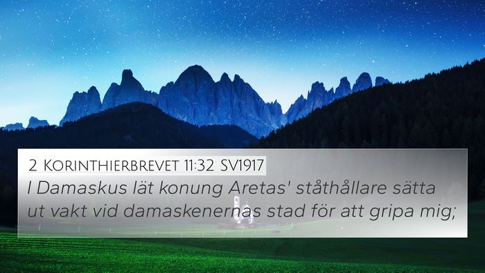2 Korinthierbrevet 11:32 SV1917 Bible Verse Image