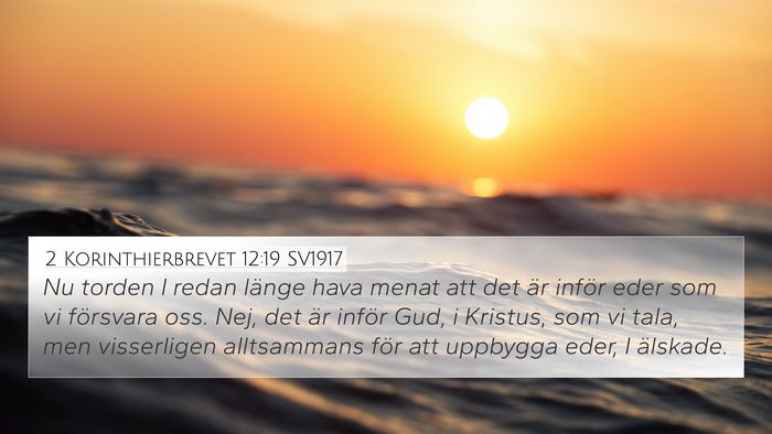 2 Korinthierbrevet 12:19 SV1917 Bible Verse Image
