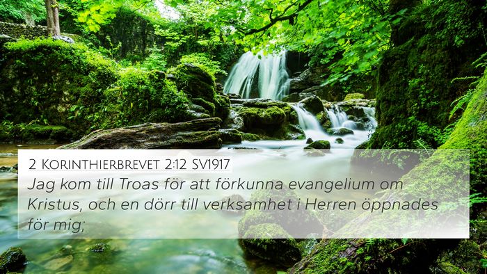 2 Korinthierbrevet 2:12 SV1917 Bible Verse Image