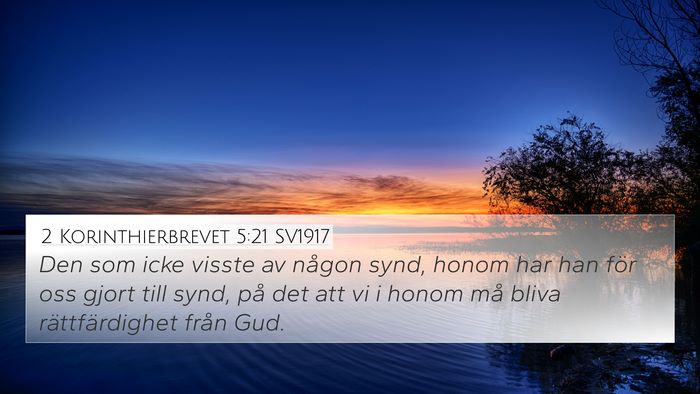 2 Korinthierbrevet 5:21 SV1917 Bible Verse Image