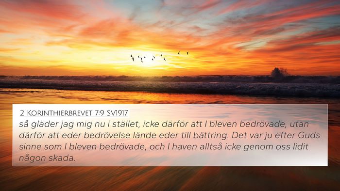 2 Korinthierbrevet 7:9 SV1917 Bible Verse Image