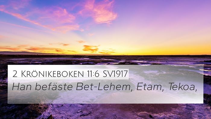 2 Krönikeboken 11:6 SV1917 Bible Verse Image