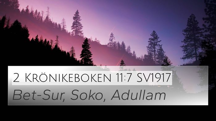 2 Krönikeboken 11:7 SV1917 Bible Verse Image