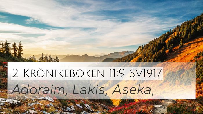 2 Krönikeboken 11:9 SV1917 Bible Verse Image